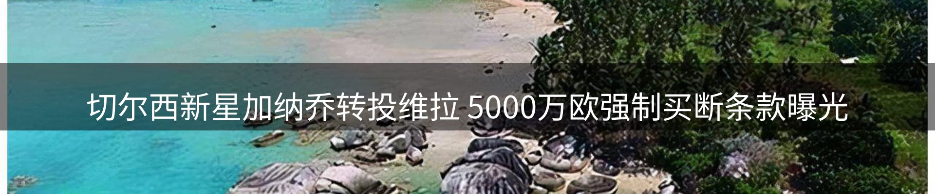 最新资讯