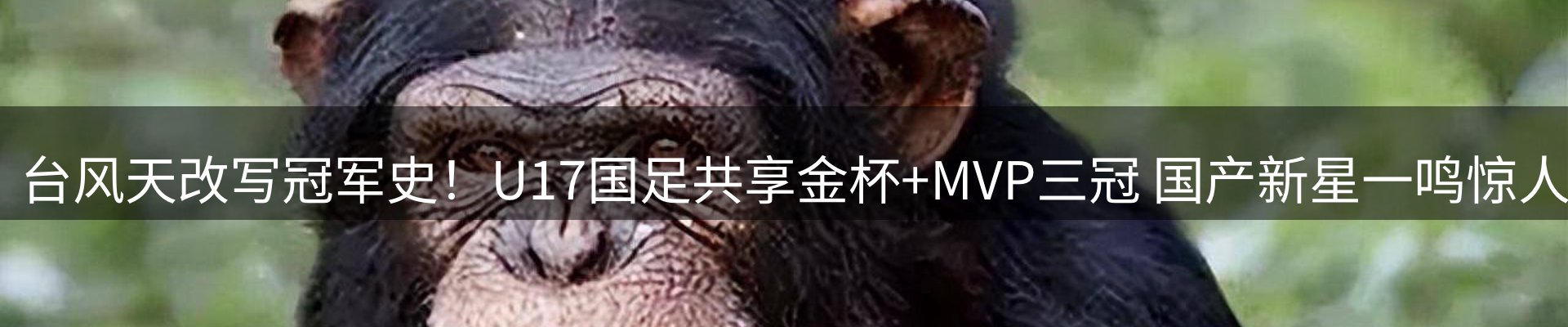 焦点要闻