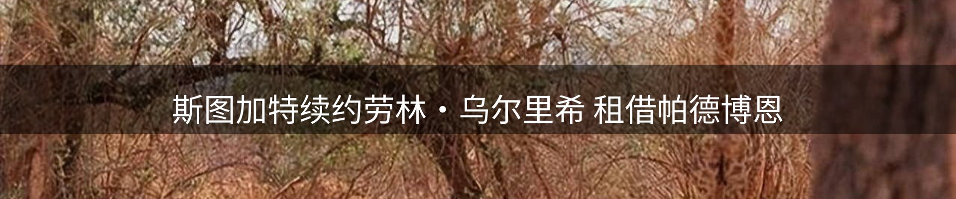 焦点要闻