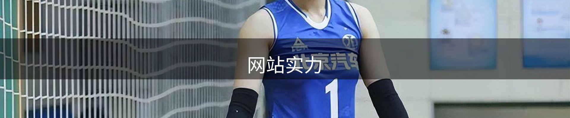 网站实力