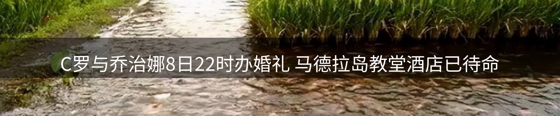 最新资讯